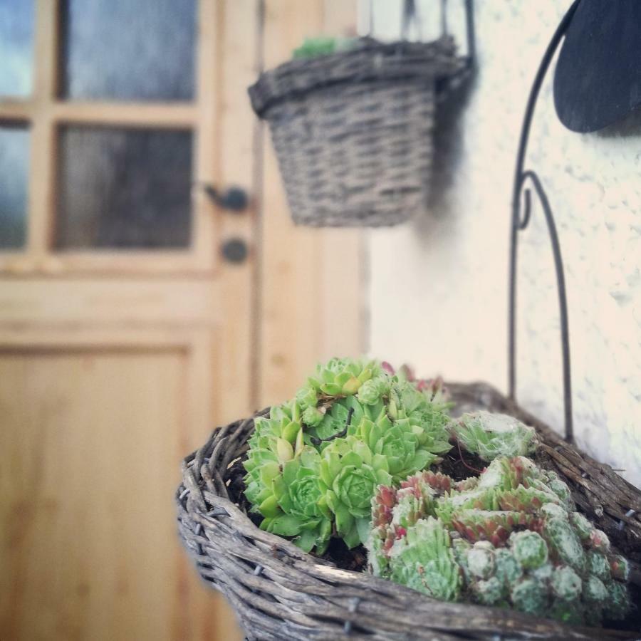 Ferienhaus In Der Schlipfing Mit Garten Altmünster Exterior foto